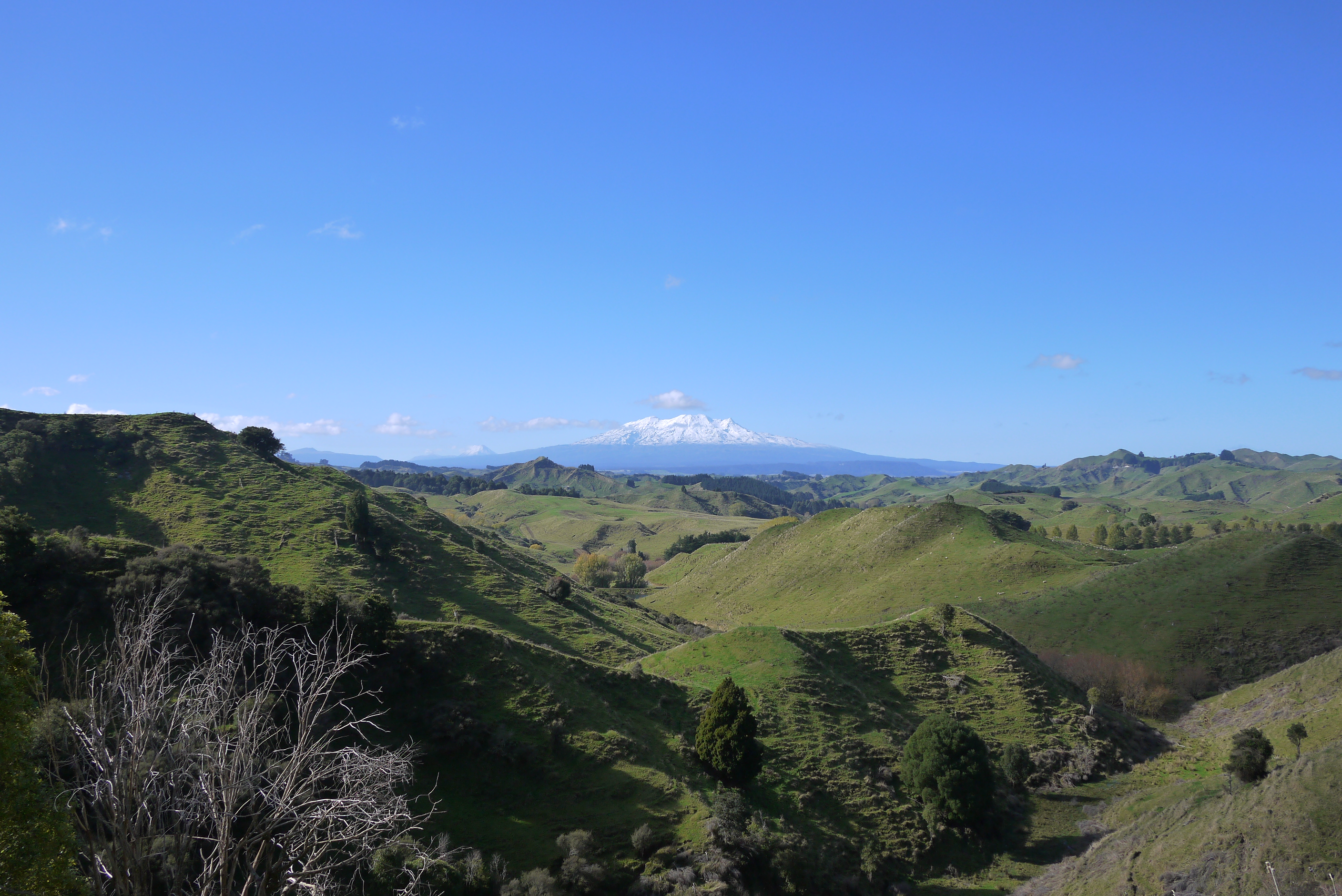 Mount Ruapehu, the Gandalf of Tongariro. 